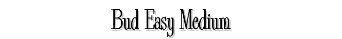 Bud Easy Medium font